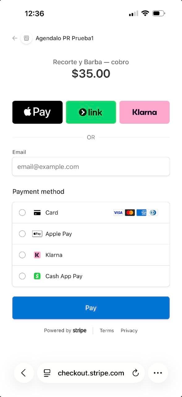 Página de cobro con tarjeta, Apple Pay y Klarna procesada por Stripe